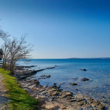 Jasmin Апартаменты *